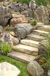 Sonoma County Landscaping Companies